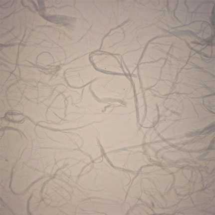 layered glass