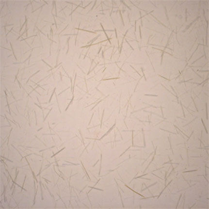 layered glass